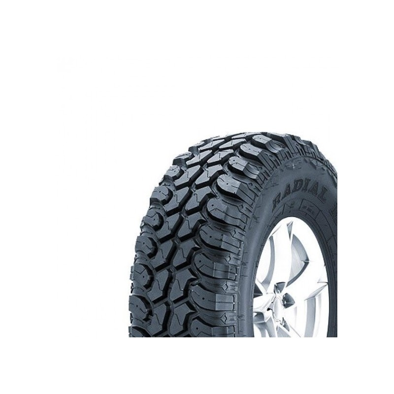 SL366 (CARGA)
