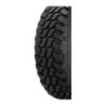 SL366 (CARGA)